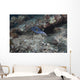 Blackspotted Puffer Fiji Wall Decal