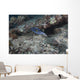 Blackspotted Puffer Fiji Wall Decal