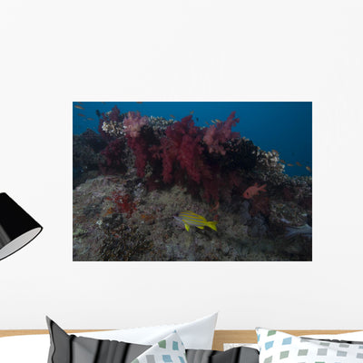 Soft Coral Fijian Reef with Fish Wall Decal shown on a wall