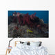 Soft Coral Fijian Reef with Fish Wall Decal