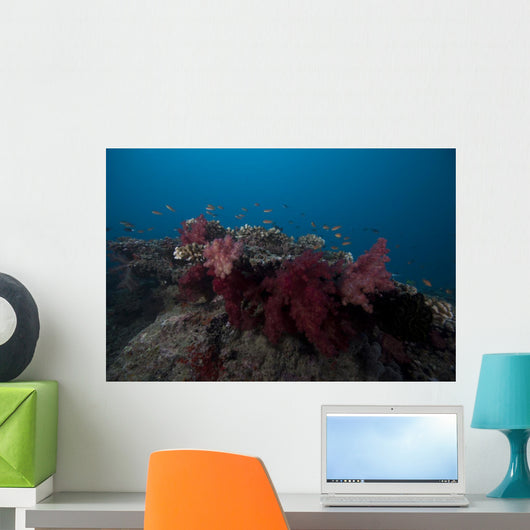 Soft Coral Fijian Reef Wall Decal