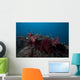 Soft Coral Fijian Reef Wall Decal