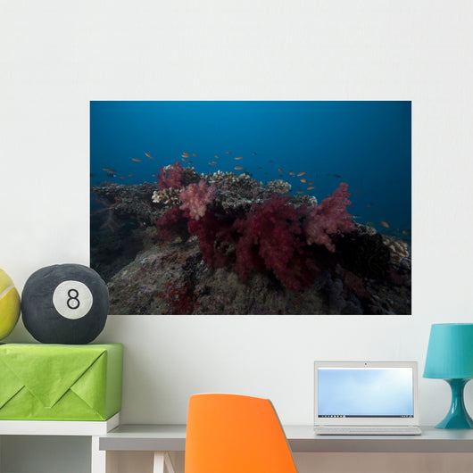 Soft Coral Fijian Reef Wall Decal