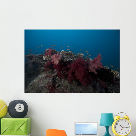 Soft Coral Fijian Reef Wall Decal