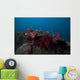 Soft Coral Fijian Reef Wall Decal