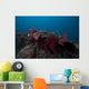 Soft Coral Fijian Reef Wall Decal