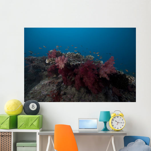 Soft Coral Fijian Reef Wall Decal