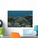 Healthy Corals Cover Reef Down Wall Decal