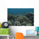 Healthy Corals Cover Reef Down Wall Decal