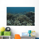 Healthy Corals Cover Reef Down Wall Decal