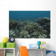 Healthy Corals Cover Reef Down Wall Decal