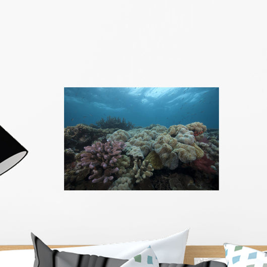 Healthy Corals Cover Reef Top Wall Decal
