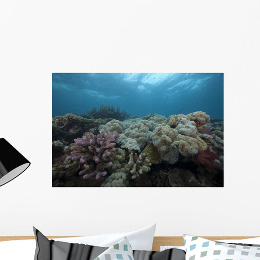 Healthy Corals Cover Reef Top Wall Decal