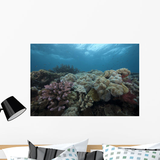 Healthy Corals Cover Reef Top Wall Decal