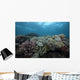 Healthy Corals Cover Reef Top Wall Decal