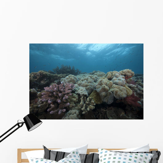 Healthy Corals Cover Reef Top Wall Decal