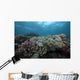Healthy Corals Cover Reef Top Wall Decal
