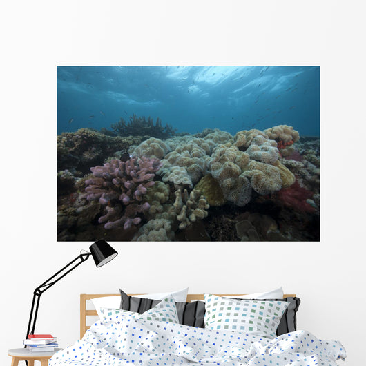 Healthy Corals Cover Reef Top Wall Decal