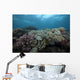 Healthy Corals Cover Reef Top Wall Decal