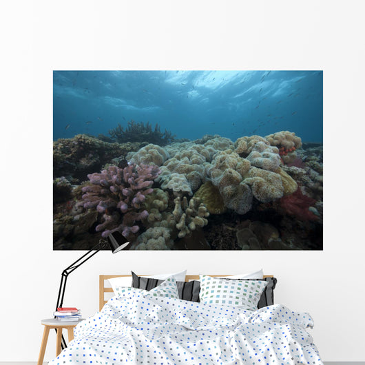 Healthy Corals Cover Reef Top Wall Decal