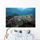 Healthy Corals Cover Reef Top Wall Decal