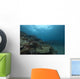Healthy Corals Cover Reef Distant Wall Decal