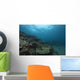 Healthy Corals Cover Reef Distant Wall Decal