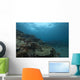 Healthy Corals Cover Reef Distant Wall Decal