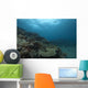 Healthy Corals Cover Reef Distant Wall Decal