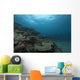 Healthy Corals Cover Reef Distant Wall Decal