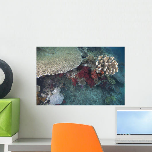 Healthy Corals Cover Reef Wall Decal