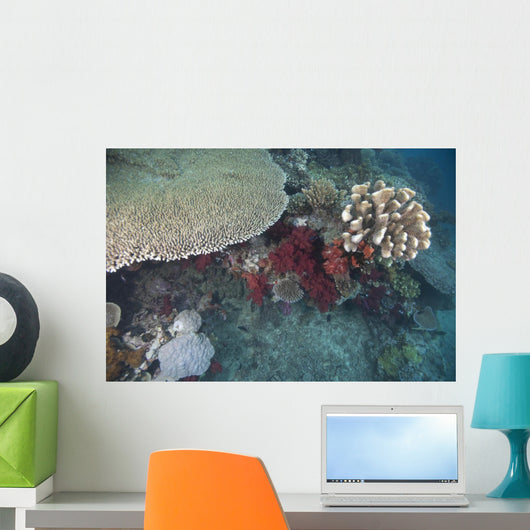 Healthy Corals Cover Reef Wall Decal
