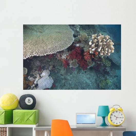 Healthy Corals Cover Reef Wall Decal