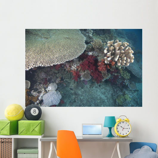 Healthy Corals Cover Reef Wall Decal