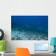 Large Bull Shark Bistro Far Distance Wall Decal