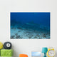 Large Bull Shark Bistro Far Distance Wall Decal