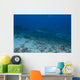 Large Bull Shark Bistro Far Distance Wall Decal