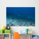 Large Bull Shark Bistro Far Distance Wall Decal