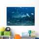 Large Bull Shark Bistro Small Fish Wall Decal