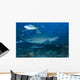 Large Bull Shark Bistro Feeding Wall Decal