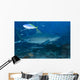 Large Bull Shark Bistro Feeding Wall Decal