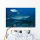 Large Bull Shark Bistro Feeding Wall Decal