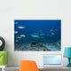 Large Bull Shark Bistro Ocean Floor Wall Decal