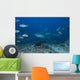 Large Bull Shark Bistro Ocean Floor Wall Decal