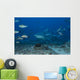Large Bull Shark Bistro Ocean Floor Wall Decal