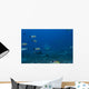 Large Bull Shark Bistro Distant Head Wall Decal