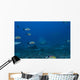 Large Bull Shark Bistro Distant Head Wall Decal