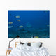Large Bull Shark Bistro Distant Head Wall Decal