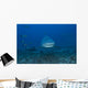 Large Bull Shark Bistro Head Wall Decal
