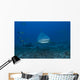 Large Bull Shark Bistro Head Wall Decal